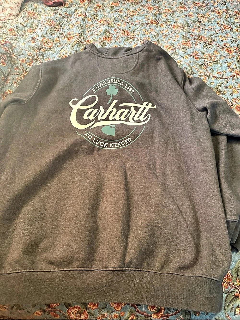 Carhartt Loose Fit Midweight Hooded Shamrock Graphic Sweatshirt Shamrock Graphic